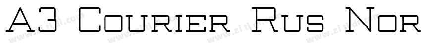 A3 Courier Rus Norma字体转换